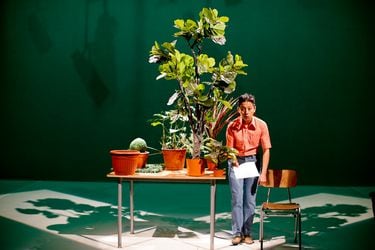 estado-vegetal-2017-credito-fundacion-teatro-a-mil