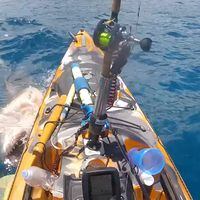 El escalofriante momento en que un tiburón ataca a un pescador en Hawái