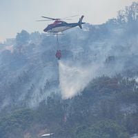 Alerta roja en comuna de Chaitén por incendio forestal en Parque Nacional Pumalín