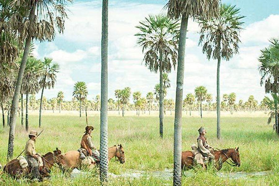 Zama1-820x385