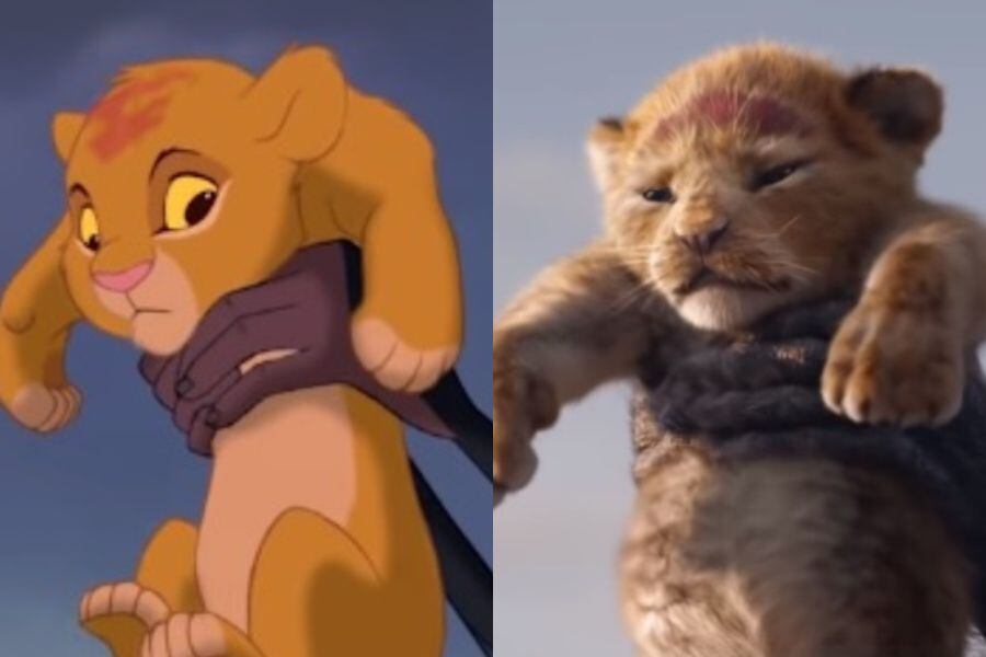 simba (1)