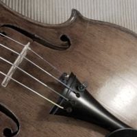 Músico fabricó el primer violín libre de material animal