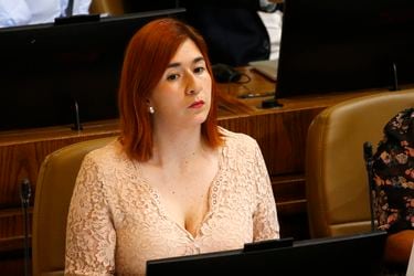 Catalina Pérez en la Cámara de Diputados