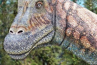 ¿Cómo se hacen las ilustraciones de dinosaurios?
