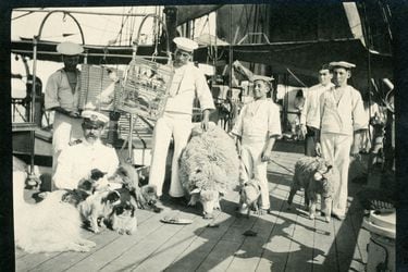 Aldea de orongo, leprosos y Rano Raraku: revelan inéditas fotos de más de 100 años de Isla de Pascua 