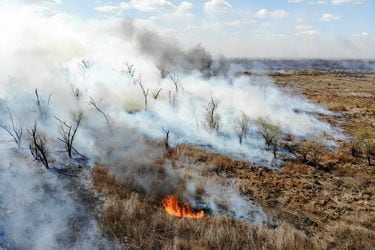 Incendios intencionales arrasan con 100.000 hectáreas de reserva natural en Argentina