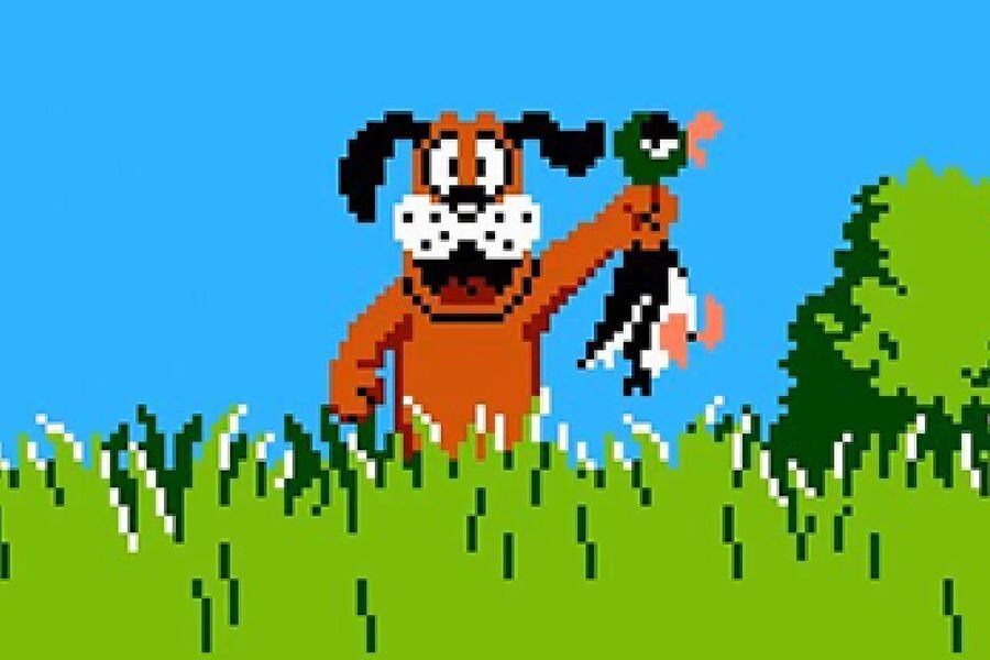 Duck Hunt