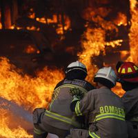 Los decidores datos de la UE sobre incendios en Viña: llamas de 15 metros e intensidad 1.600% mayor que un fuego controlable