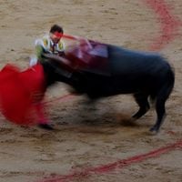 Por qué las corridas de toro nuevamente están en la polémica en España
