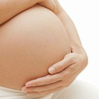 Aumento del colesterol en el embarazo: investigan posibles problemas cardiovasculares en los hijos
