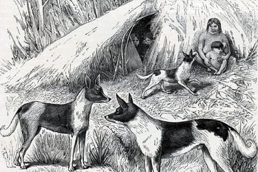 Estudio revela el origen de los primeros perros en el extremo austral de Sudamérica