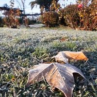 Fría mañana de jueves: alerta agrometeorológica por heladas que afectaron a siete regiones del país