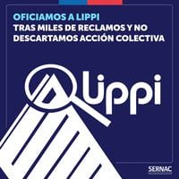 Sernac oficia a Lippi tras recibir más de 1.500 reclamos solo en mayo