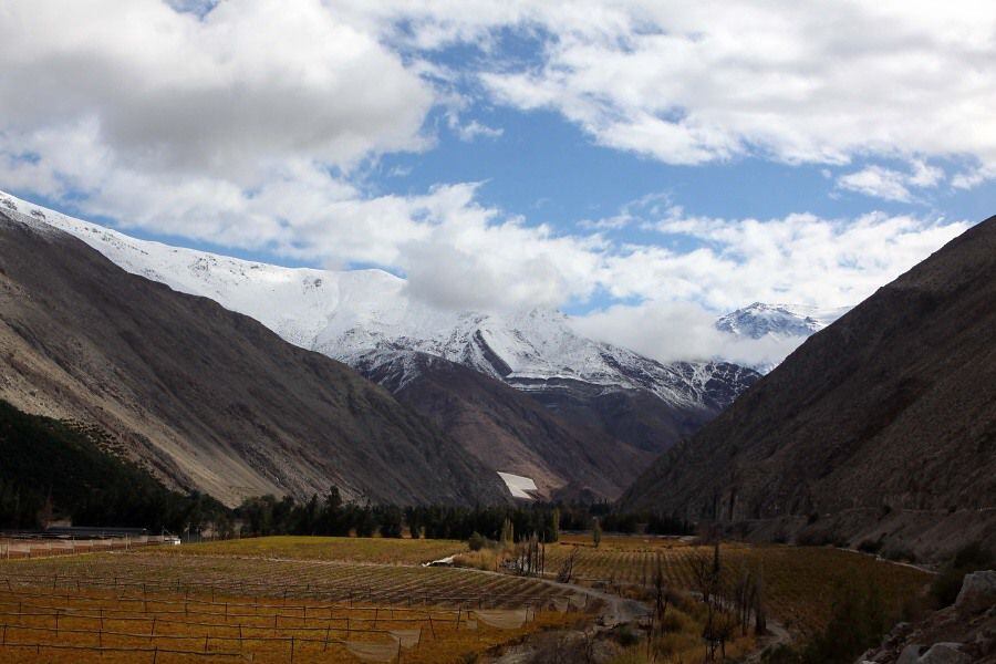 Valle del Elqui