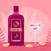 10 deliciosos gin y algunas recetas