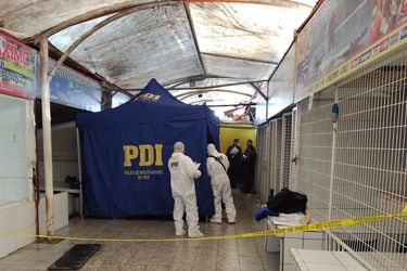 Investigan homicidio de ciudadano colombiano en la caleta de Coquimbo