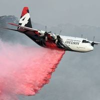 Incendio forestal en Tirúa se mantiene activo y ha consumido al menos 170 hectáreas