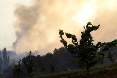 Ahora Chile combatirá los incendios forestales con ayuda de la Nasa
