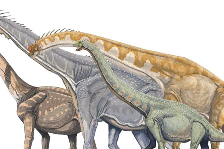 Estudio propone cambios en árbol genealógico y origen de los dinosaurios -  La Tercera