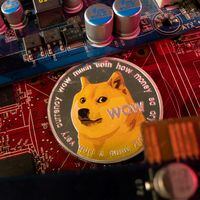 Kabosu, el perro meme y rostro de la criptomoneda Dogecoin, muere a los 18 años