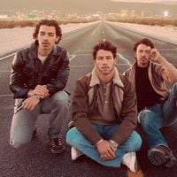Jonas Brothers: el emotivo significado de Little Bird, la canción que es una de sus favoritas