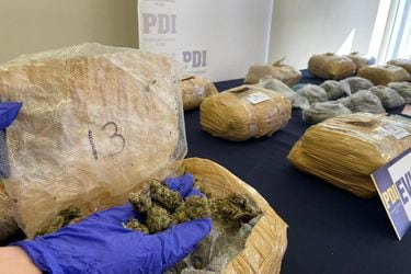 PDI desarticula banda criminal dedicada al tráfico de drogas en la provincia de Malleco: incautaron 17 kilos de marihuana