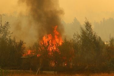 Quema de basura y fogatas: la mayoría de los incendios forestales en Chile se debe a quemas descontroladas, según estudio