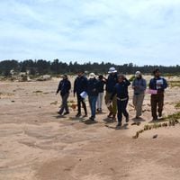 Inspeccionan sector del campo dunar en El Tabo en el marco de la demanda por daño ambiental por extracción de áridos