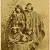 ¿De dónde provienen los mapuches? Estudio reconstruye el eslabón perdido de su genética 