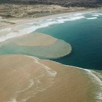 Columna de Carolina Martínez: “¿Borde costero o zona costera?”