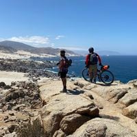 Parque Nacional Pan de Azúcar, playa Ballena y Chañaral: la ruta de seis ciclistas haciendo bikepacking, la modalidad que mezcla senderismo y cicloturismo 