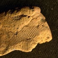 Descubren una milenaria huella dactilar en una cerámica neolítica