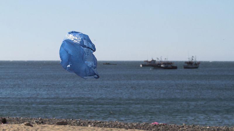 Proponen eliminacion de bolsas plasticas en ciudades costeras