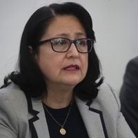 El llamado de Dorothy Pérez en comisión investigadora por líos de platas: “Necesitamos más personal”