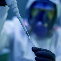 Nuevo centro científico probará pionera vacuna contra el Virus Respiratorio Sincicial en adultos mayores