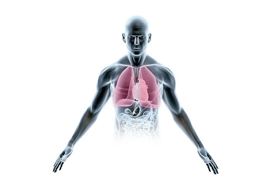 PulmonesWEB