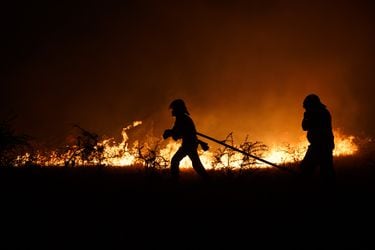 Costo económico de los incendios forestales ascendió a US$880 millones
